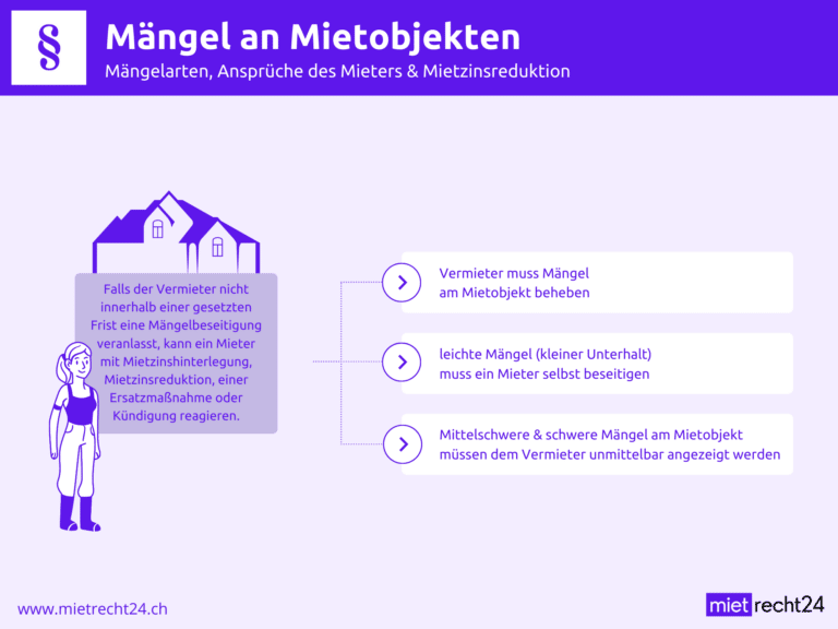Infografik Mängel an Mietobjekten