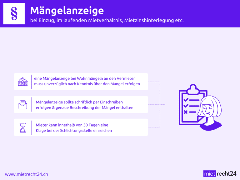 Infografik Mängelanzeige